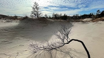 chintrial ploofhs- synthstrom deluge - elektron analog four - drumbrute impact - live techno session