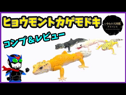 いきもの大図鑑 ヒョウモントカゲモドキ コンプ いきもの大図鑑アドバンス ヒョウモントカゲモドキ | ナムコ