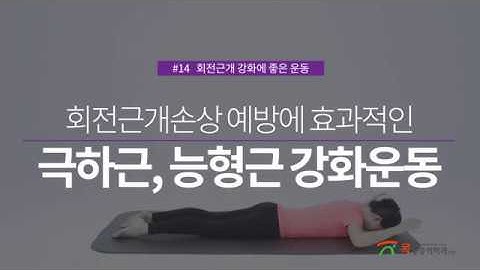 회전근개강화운동_극하근, 능형근 강화_어깨회전근개파열운동