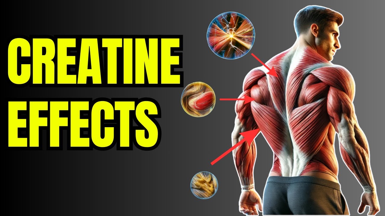 What Happens To Your Body When You Take Creatine Every Day For Muscle ...