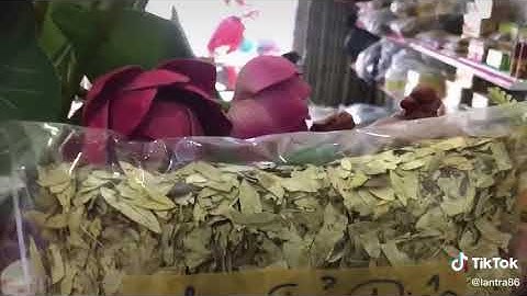 PHAN TẢ DIỆP 0972.409.268