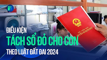 Điều kiện tách sổ đỏ cho con theo Luật Đất đai 2024 | VTC1