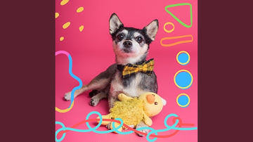 Pulsating Backdrops for Sweet Puppy