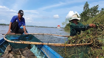 Xúc Mô Bắt Lươn,Ăn Cơm Giữa Đồng  Cuộc Sống Mùa Nước Nổi Của Người  Miền Tây.Góc Làng Quê #52