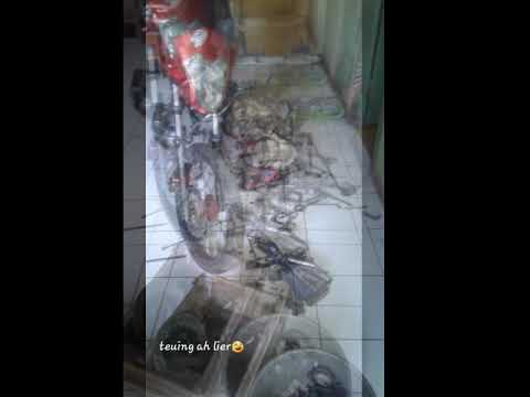 Eko show-on dat bulshit