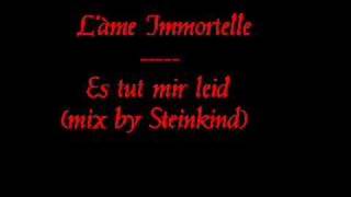 L&#39;àme Immortelle - es tut mir leid( mix by steinkind)