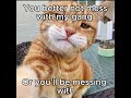 larry #follow #followme