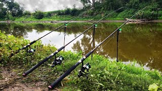 Muddy River Carp Fishing (Hard Fighting Fish)