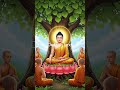 Sáu Bài Học Tu Tập Theo Giáo Pháp Đức Phật