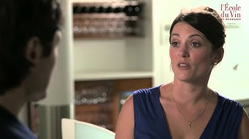 The Bordeaux Wine School