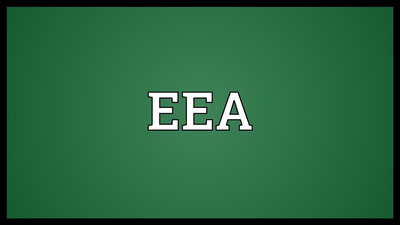 Eu Eea Meaning