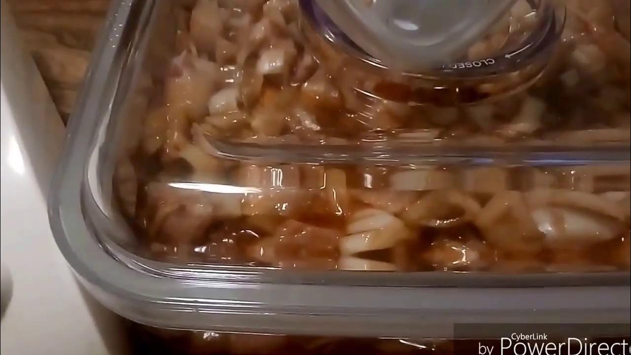 Foodsaver Marinator Container Review YouTube