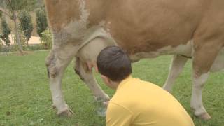 Pellumb Hajdari se shpejti Resimi