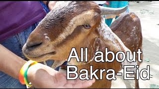 Eid al Adha in India - All about Bakrid - Video