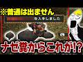 昔のG級訓練はなんでもありだったのがわかる映像【モンハンP2G切り抜き】