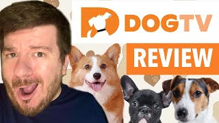DOGTV Review: Like Netflix for Dogs! 🐶 🐾 🍿 📺