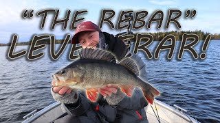 Stora ABBORRAR på hösten & 'The Rebar' Levererar kilo+ by Lentalure 720 views 7 months ago 26 minutes