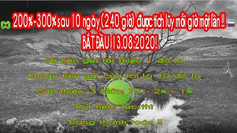 200% -300% sau 10 ngày (240 giờ) được tích lũy mỗi giờ một lần !!