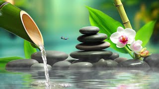 Relaxing Piano Music & Nature Sounds | Calming Music, Meditation Music, Working, Bamboo