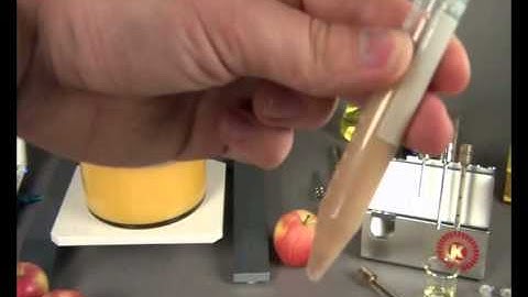 KINEMATICA Polytron PT1200E, PT2500E et PT6100D