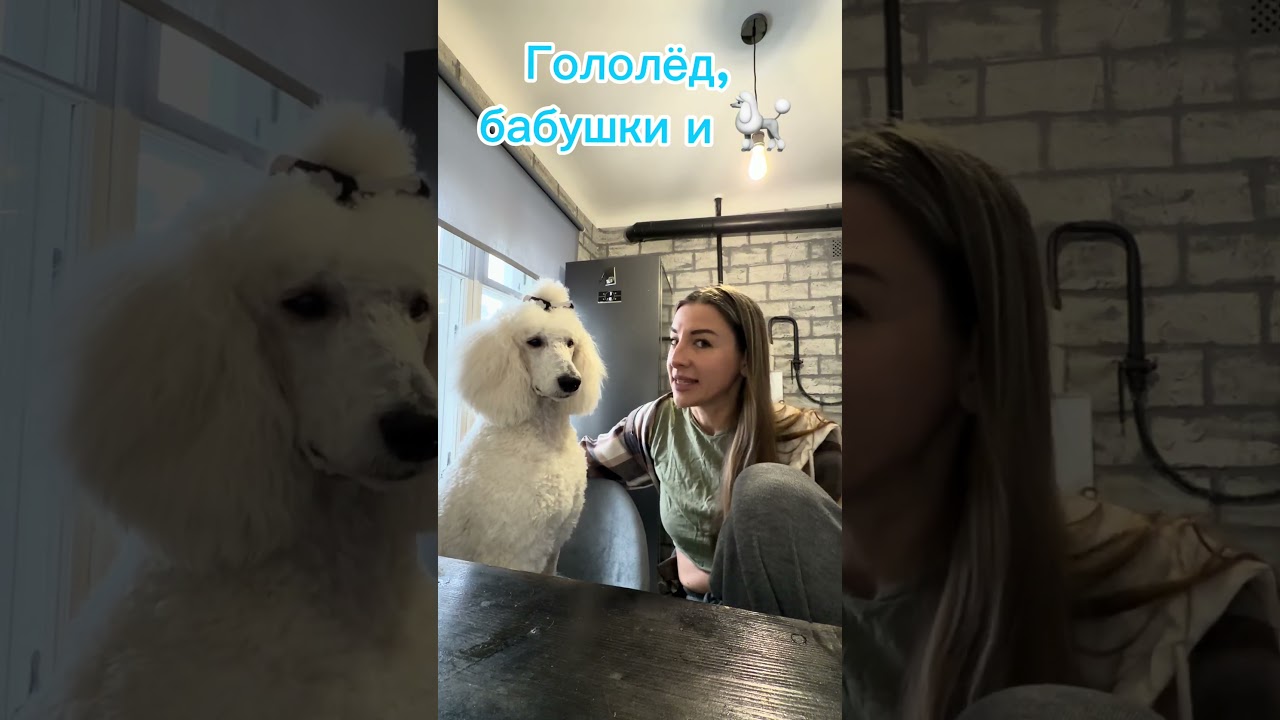 На 50 секунде тааааак спародировала бабушек