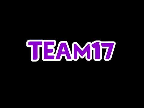 Team 17 Logo