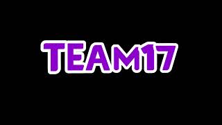 Team 17 Logo