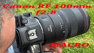Canon RF100mm F2.8 L Macro, posiblemente la mejor lente macro de Canon