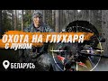 Охота с луком на глухаря