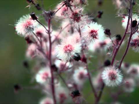 Εγω για δυο-Τσανακλιδου