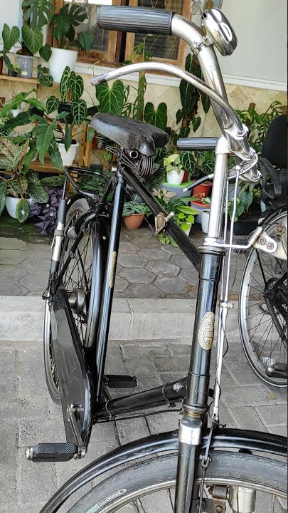 Gazelle Heren seri 6 series High class [  Terjual ]