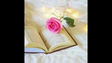 قرآن كريم بصوت القارئ معاذ العيد  أجمل حالات واتس اب دينيه 🖤  تلاوة خاشعة