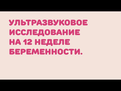 УЗИ 12 неделя беременности УЗИ 12 неделя беременности