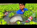 Amazing Fishing Video | Hook Fishing By Plastic Bottle Fish Trap | Simple Fishing Technique