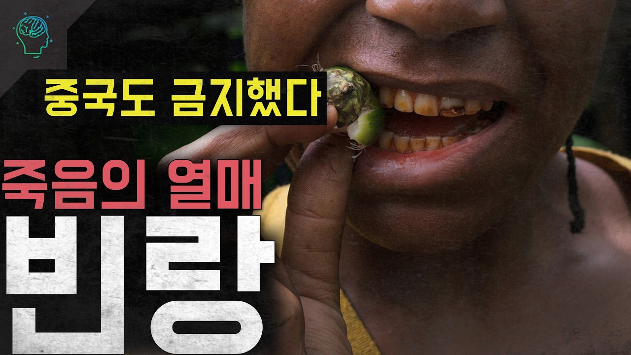 '중국도 금지한 금단의 열매' 6억명이 중독된 죽음의 열매 '빈랑'