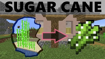 Custom Sugar Cane (Mcreator)