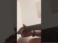 Creative Gysy Jazz feel acoustic guitar song ideas
