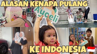 ALASAN KENAPA KAMI PULANG KE INDONESIA