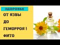 Облепиховое масло от ЯЗВЫ И ДО ГЕМОРРОЯ !!!