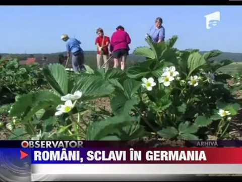 Romani, sclavi in Germania 2012 YouTube