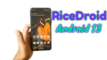 riceDroid V10.2 (Paella) - Hotfix!!! | OFFICIAL | 13 T