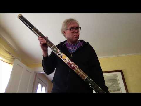 World's Greatest Rain Stick Player