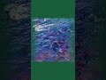 IIR — Ambient | 2026-04-20 #Shorts