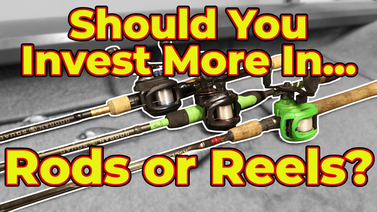 Should YOU Spend MORE MONEY On RODS or REELS? Dobyns, Daiwa, Kastking