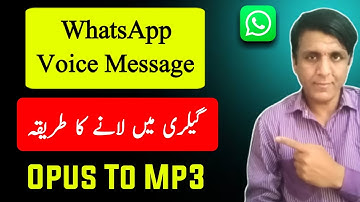 Opus to mp3 converter | WhatsApp voice message ko save kaise kare | how to convert opus file to mp3