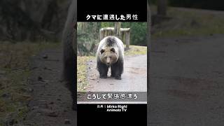 クマに遭遇した男性