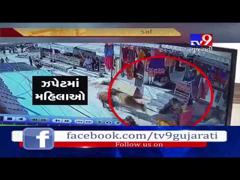 Dwarka: Woman Gets Injured After Being Hit By Stray Cow- Tv9