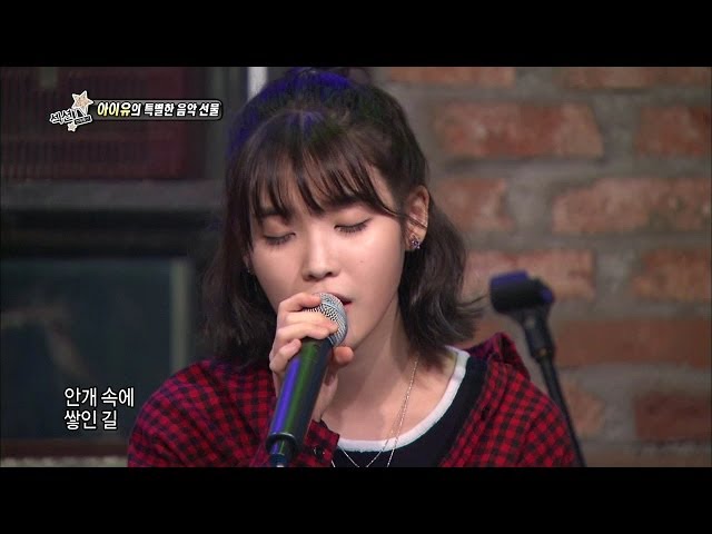 【TVPP】IU - The covered up road, 아이유 - 가리워진 길 @ Section TV