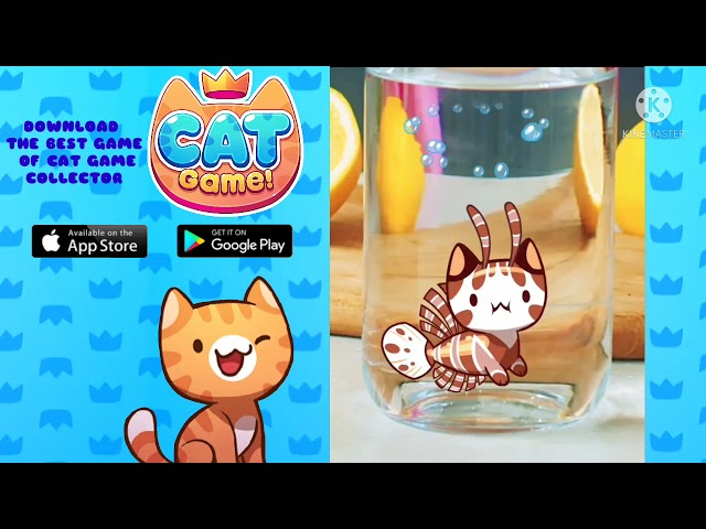 Cat Game - The Cats Collector!, Apps