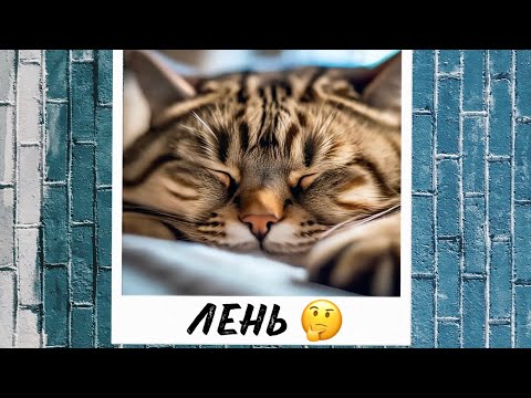 Лень - не порок! Откуда «ноги растут» и лень ли это?
